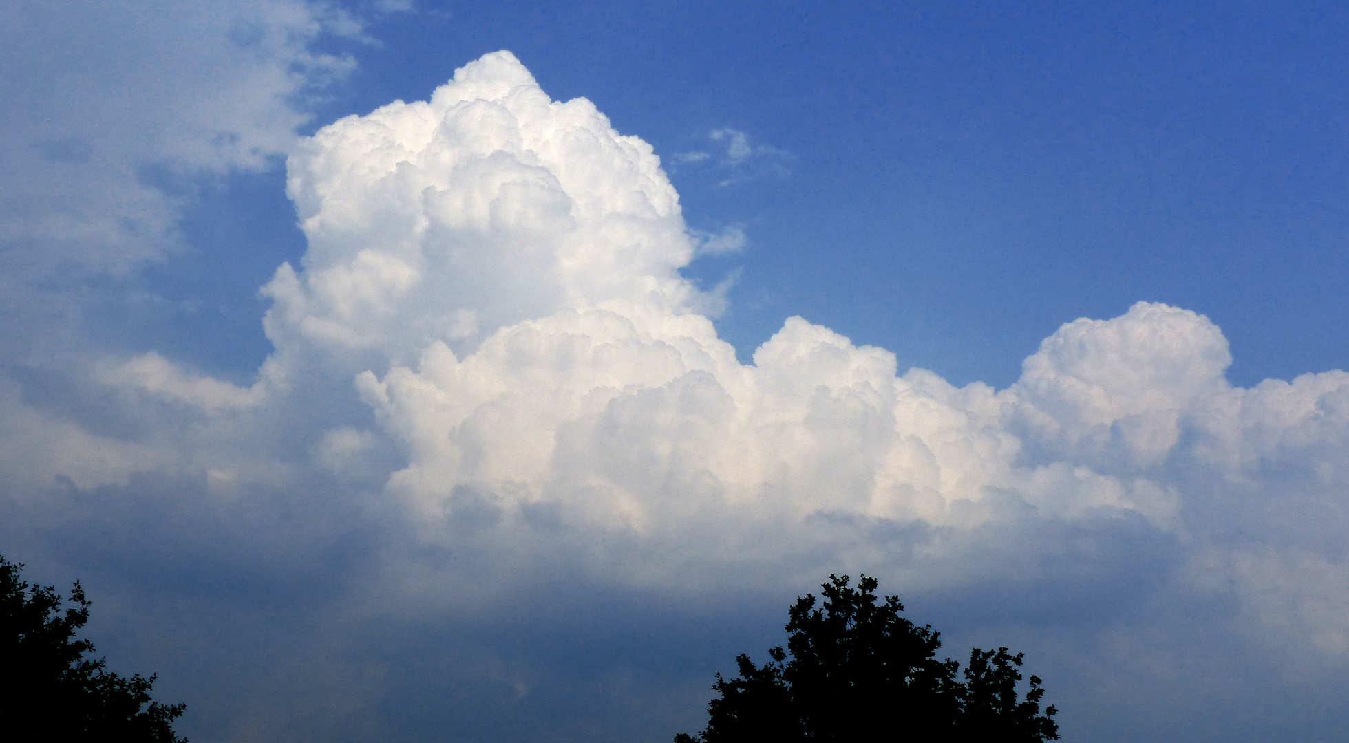 Wolkenherkenning: het herkennen van opbollende wolken: van de cumuluswolk tot de cumulonimbus